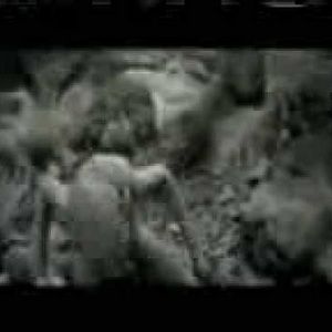 Meet your Posher, Chivas1314